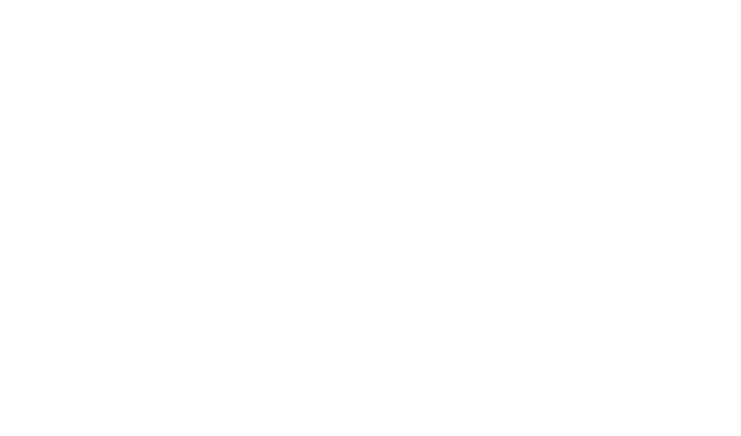 Black Badger